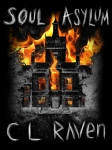 Soul Asylum book cover by Fireclaw Films